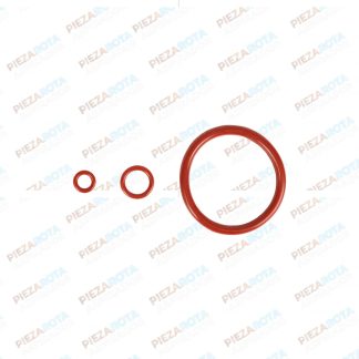 Kit de gomas unidad de procesado Power Matic-ccino 6000/7000/8000/9000 Kit de gomas unidad de procesado