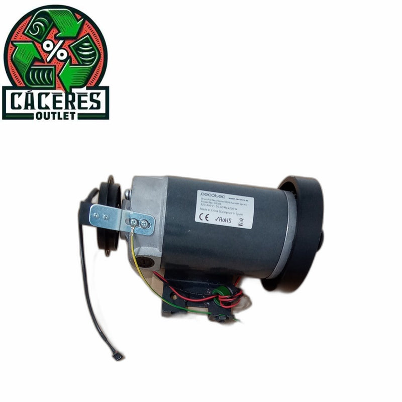 MOTOR