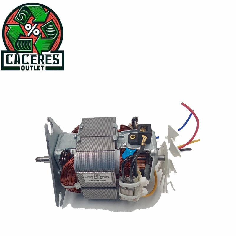 MOTOR