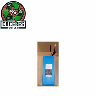 BATERIA 48V/12,5A