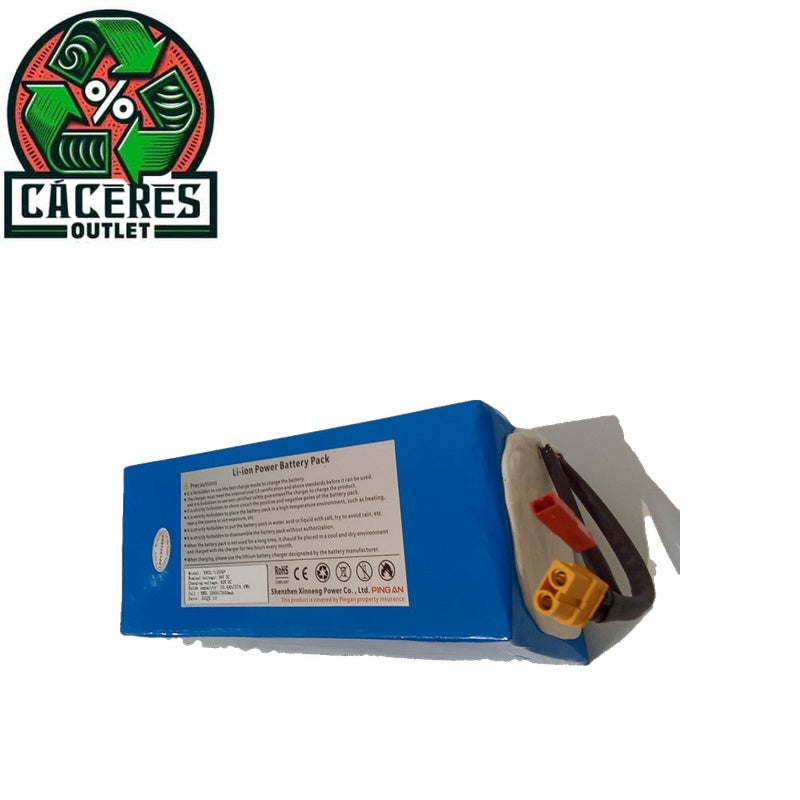 BATERIA 1000 MAH